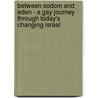 Between Sodom And Eden - A Gay Journey Through Today's Changing Israel door Lee Walzer
