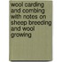 Wool Carding And Combing With Notes On Sheep Breeding And Wool Growing