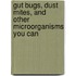 Gut Bugs, Dust Mites, and Other Microorganisms You Can