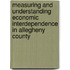 Measuring and Understanding Economic Interdependence in Allegheny County
