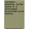 Cameleon Sketches - By The Author Of  A Picturesque Promenade Round Dorking door Anon
