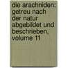 Die Arachniden: Getreu Nach Der Natur Abgebildet Und Beschrieben, Volume 11 by Carl Wilhelm Hahn
