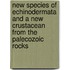 New Species Of Echinodermata And A New Crustacean From The Palecozoic Rocks