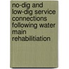 No-Dig and Low-Dig Service Connections Following Water Main Rehabilitiation door Dan Ellison