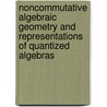 Noncommutative Algebraic Geometry and Representations of Quantized Algebras door Alex Rosenberg
