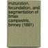 Maturation, Fecundation, And Segmentation Of Limax Campestris, Binney (1881)