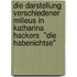 Die Darstellung verschiedener Milieus in Katharina Hackers  "Die Habenichtse"