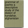 Grammar Of Pashto A Descriptive Study Of The Dialect Of Kandahar, Afghanistan by Ismail Sloan