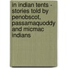 In Indian Tents - Stories Told By Penobscot, Passamaquoddy And Micmac Indians door Abby L. Alger