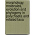 Morphology, Molecules, Evolution and Phylogeny in Polychaeta and Related Taxa