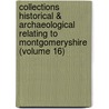 Collections Historical & Archaeological Relating To Montgomeryshire (Volume 16) by Powys-Land Club