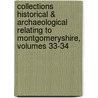Collections Historical & Archaeological Relating To Montgomeryshire, Volumes 33-34 door Club Powys-land