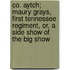 Co. Aytch; Maury Grays, First Tennessee Regiment, Or, A Side Show Of The Big Show