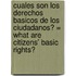 Cuales Son los Derechos Basicos de los Ciudadanos? = What Are Citizens' Basic Rights?