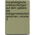 Morphologische Untersuchungen Auf Dem Gebiete Der Indogermanischen Sprachen, Volume 4