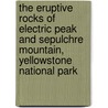 The Eruptive Rocks Of Electric Peak And Sepulchre Mountain, Yellowstone National Park by Joseph Paxson Iddings