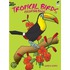 Tropical Birds Coloring Book Tropical Birds Coloring Book Tropical Birds Coloring Book