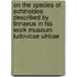 On The Species Of Echinoidea Described By Linnaeus In His Work Museum Ludovicae Ulricae
