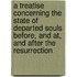 A Treatise Concerning The State Of Departed Souls Before, And At, And After The Resurrection