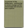 A Summer In The Wilderness - Embracing A Canoe Voyage Up The Mississippi And Around Lake Superior door Charles Lanman