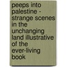 Peeps Into Palestine - Strange Scenes In The Unchanging Land Illustrative Of The Ever-Living Book door James Neil