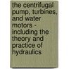 The Centrifugal Pump, Turbines, And Water Motors - Including The Theory And Practice Of Hydraulics door Charles H. Innes