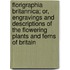 Florigraphia Britannica; Or, Engravings And Descriptions Of The Flowering Plants And Ferns Of Britain