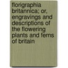 Florigraphia Britannica; Or, Engravings And Descriptions Of The Flowering Plants And Ferns Of Britain door Richard Deakin