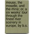Meuse, The Moselle, And The Rhine; Or, A Six Weeks' Tour Through The Finest River Scenery In Europe, By B.S.