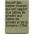 Recueil Des Fables D'Esope Qui Ont Rapport Aux Fables de Phedre Aux Fables de Phedre Et de La Fontaine (1754)
