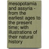 Mesopotamia And Assyria - From The Earliest Ages To The Present Time; With Illustrations Of Their Natural History door James Baillie Fraser