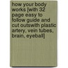 How Your Body Works [With 32 Page Easy to Follow Guide and Cut OutsWith Plastic Artery, Vein Tubes, Brain, Eyeball] door Anita Ganeri