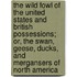 The Wild Fowl Of The United States And British Possessions; Or, The Swan, Geese, Ducks, And Mergansers Of North America