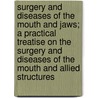 Surgery And Diseases Of The Mouth And Jaws; A Practical Treatise On The Surgery And Diseases Of The Mouth And Allied Structures door Vilray Papin Blair