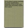 The Fly-Fisher's Guide Illustrated By Plates Representing Upwards Of Forty Of The Most Useful Flies Accurately Copied From Nature door George Cole Bainbridge