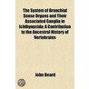 System Of Branchial Sense Organs And Their Associated Ganglia In Ichthyopsida; A Contribution To The Ancestral History Of Vertebrates door John Beard
