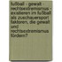 Fußball - Gewalt - Rechtsextremismus - Existieren im Fußball als Zuschauersport Faktoren, die Gewalt und Rechtsextremismus fördern?