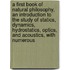 A First Book Of Natural Philosophy, An Introduction To The Study Of Statics, Dynamics, Hydrostatics, Optics, And Acoustics, With Numerous
