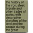 The History Of The Iron, Steel, Tinplate And Other Trades Of Wales; With Descriptive Sketches Of The Land And The People During The Great