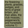 The Flowering Plants, Grasses, Sedges, And Ferns Of Great Britain, And Their Allies, The Club Mosses, Pepperworts And Horsetails (Volume 1) door Anne Pratt