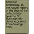 American Ornithology, Or, The Natural History Of The Birds Of The United States (Volume 2); Illustrated With Plates Engraved From Drawings From