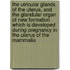 The Utricular Glands Of The Uterus, And The Glandular Organ Of New Formation Which Is Developed During Pregnancy In The Uterus Of The Mammalia