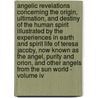 Angelic Revelations Concerning The Origin, Ultimation, And Destiny Of The Human Spirit Illustrated By The Experiences In Earth And Spirit Life Of Teresa Jacoby, Now Known As The Angel, Purity And Orion, And Other Angels From The Sun World - Volume Iv door William Oxley