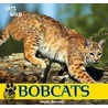 Bobcats door Henry Randall