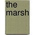 The Marsh