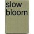 Slow Bloom