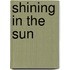Shining in the Sun