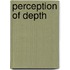 Perception of Depth