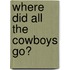 Where Did All the Cowboys Go?