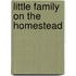 Little Family on the Homestead
